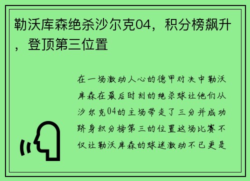 勒沃库森绝杀沙尔克04，积分榜飙升，登顶第三位置